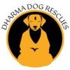 Mobile Logo